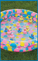 inflatable duck pond pool